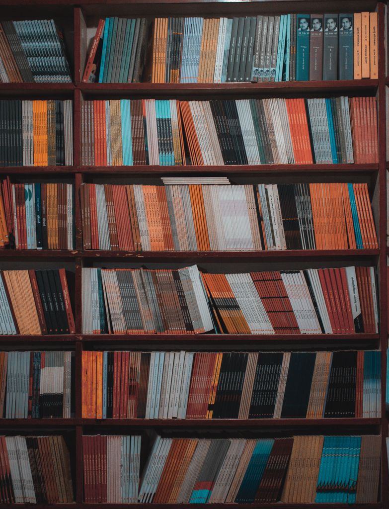 Vibrant library bookshelf filled with a diverse collection of books in a vertical arrangement.